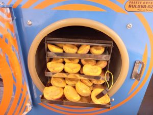 Freeze drying of products on order on Bulova freeze dryers