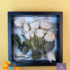 Freeze dried white roses IDeal Flowers