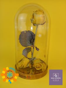 Freeze-dried flowers buy